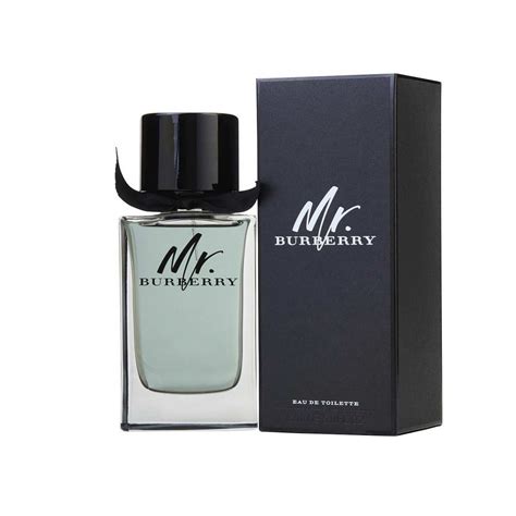 mr burberry toilette 100ml|perfume mr burberry original.